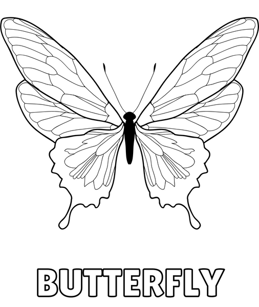 Fly, Butterfly, Fly! worksheet for Pre-K geometry activities Butterflies tracing curved paths to fly across the worksheet