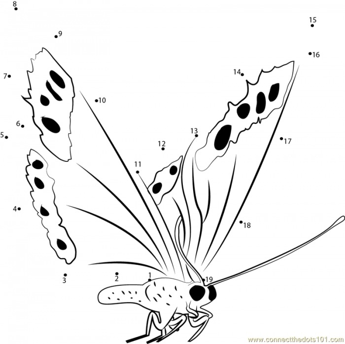 Engaging activity for Pre-K students: Fly, Butterfly, Fly! worksheet Colorful worksheet for tracing curved lines to help butterflies fly across the page