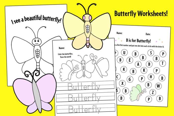 Fly, Butterfly, Fly! tracing activity for Pre-K geometry skills Colorful worksheet guiding butterflies along curved paths for tracing practice