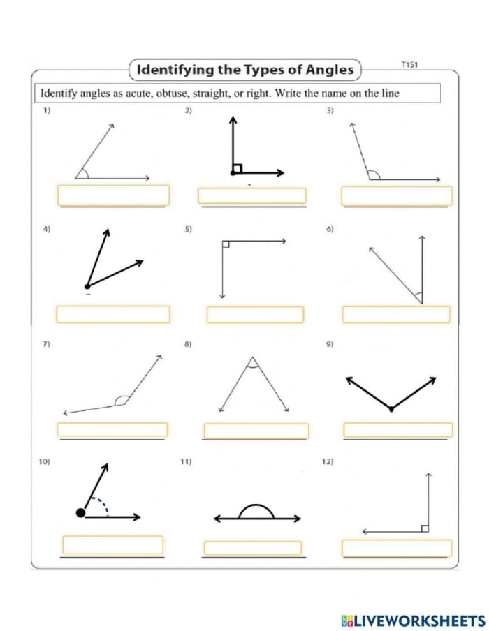 What is the Angle Worksheet Number 17 Fourth grade geometry worksheet featuring exercises to calculate missing angles 17