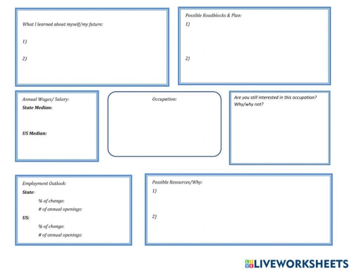 Sixth grade graphic organizer worksheet for researching a dream career