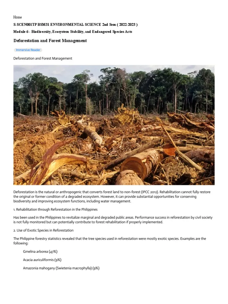 Numbers and Counting worksheet for Sixth Grade Worksheet exploring deforestation in Haiti for sixth graders, featuring data and activities. Case Study: Deforestation in Haiti - Environmental Science Worksheet.
