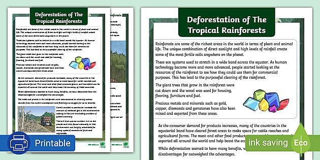 Case Study: Deforestation in Haiti - Educational worksheet for students Deforestation in Haiti worksheet for sixth graders focusing on environmental science and counting skills