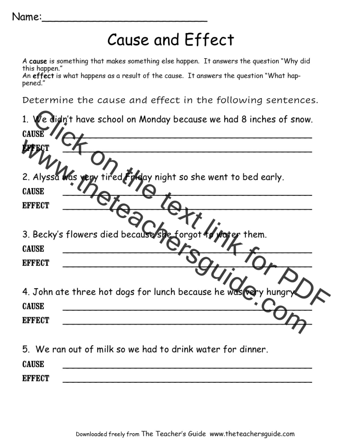 Cause and Effect worksheet for third graders focusing on identifying relationships in a fictional passage. Engaging activity to enhance reading comprehension skills in young learners.