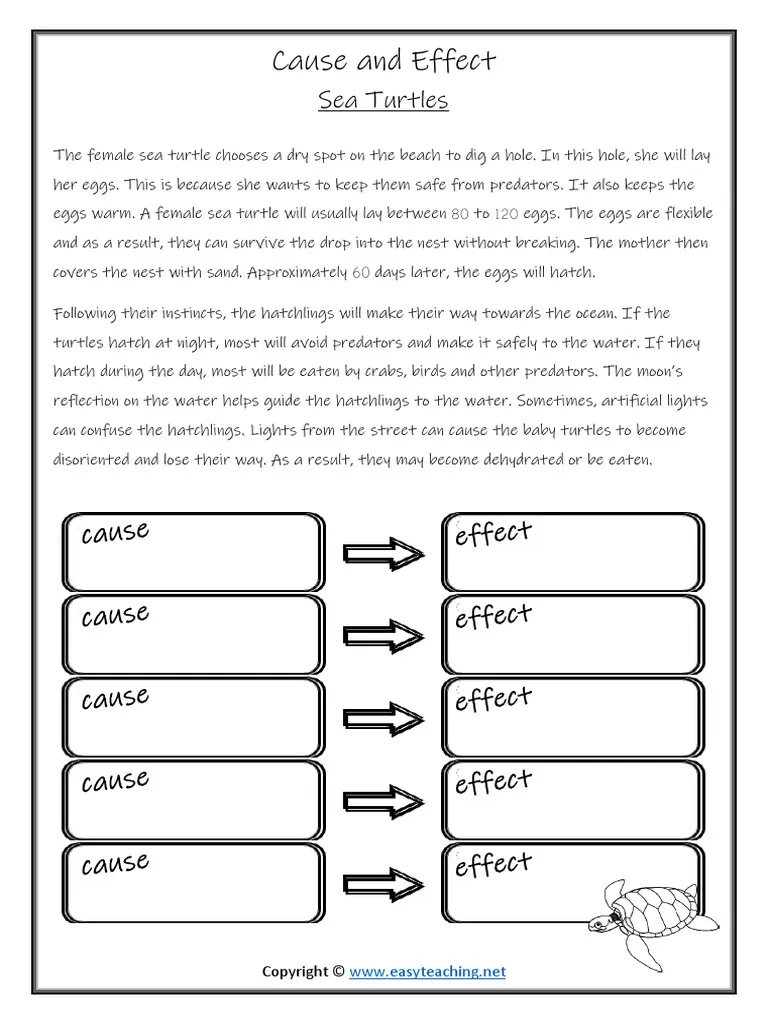 Third grade student completing a cause and effect reading comprehension worksheet