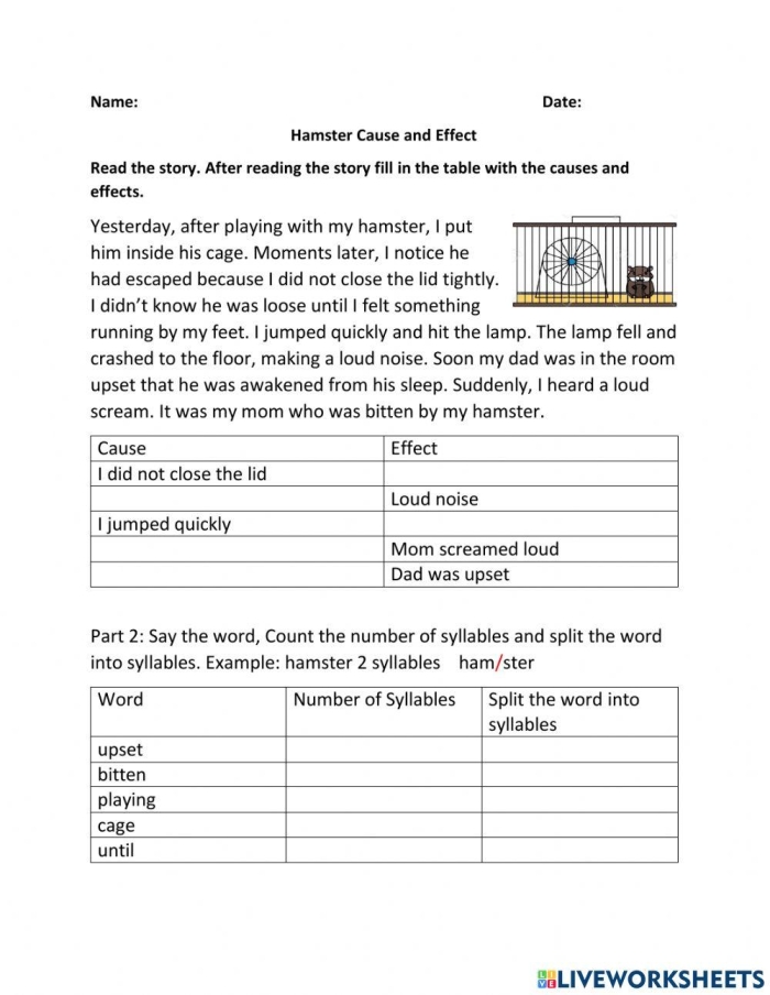 Worksheet showing cause and effect relationships from a story about an amusement park visit. Cause and Effect Reading Comprehension: My Day at the Amusement Park worksheet for third graders.