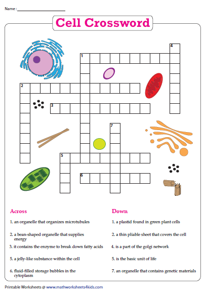 Third grade science worksheet featuring a crossword puzzle about plant and animal cell terminology