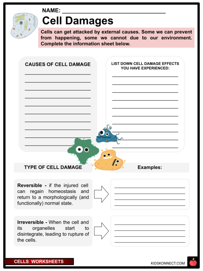 A fourth grade student completing a cell biology worksheet with diagrams and fill-in-the-blank questions about cell structures and functions