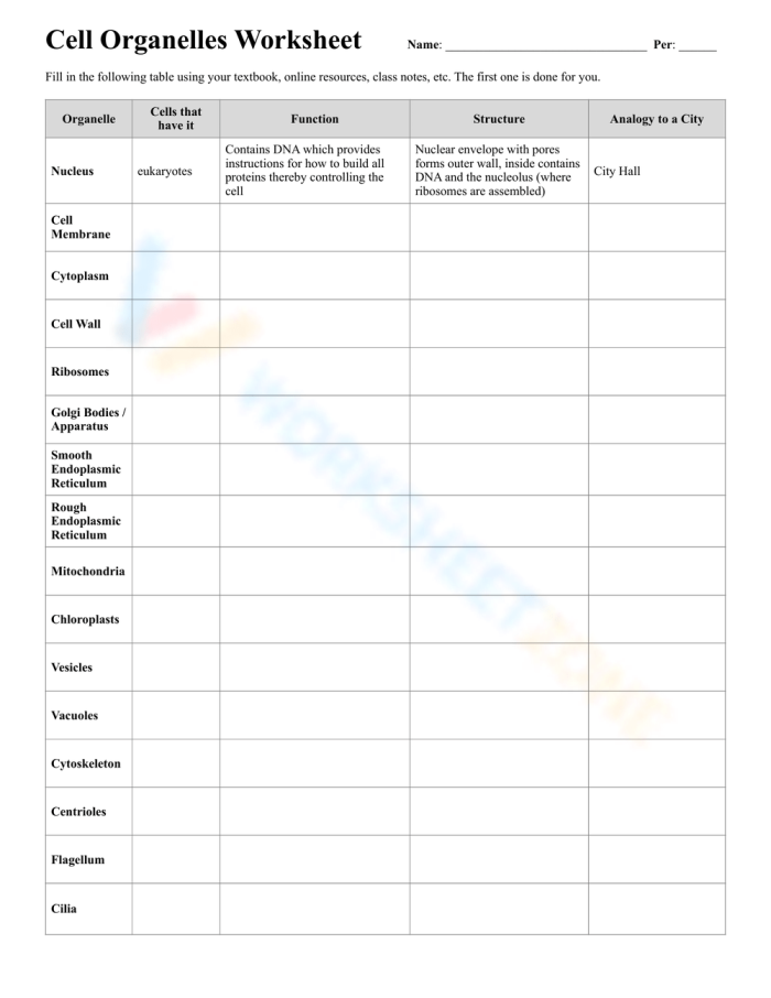 Sixth grade science worksheet featuring a detailed diagram of cell organelles for students to identify and describe