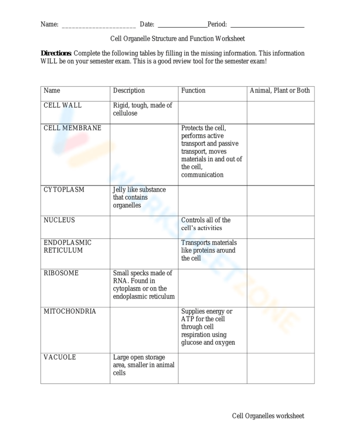 Sixth grade science worksheet featuring a detailed cell diagram for students to label organelles.