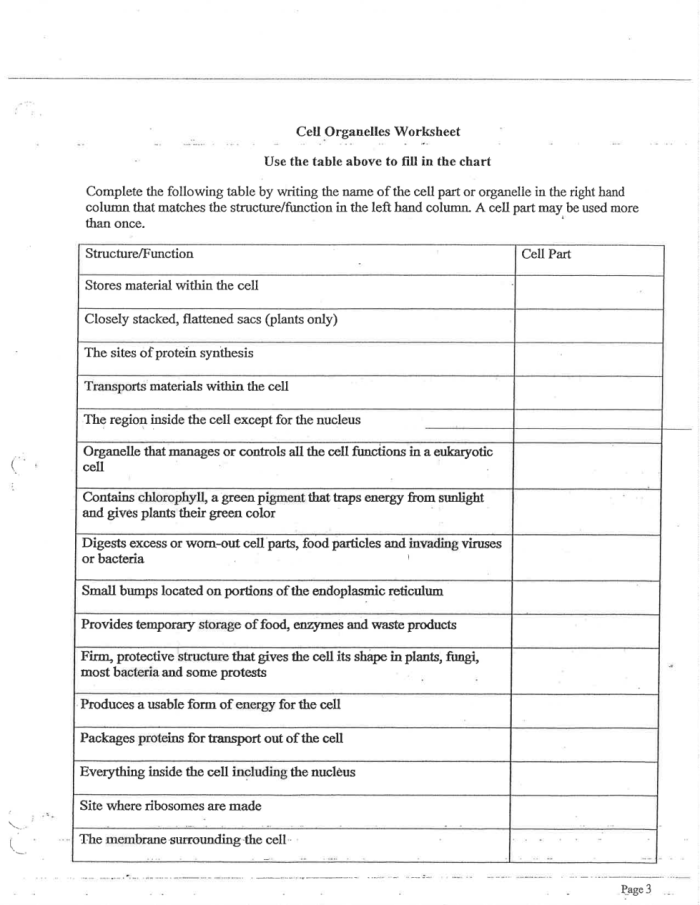 Sixth grade science worksheet featuring a detailed cell diagram for students to label and describe organelle functions