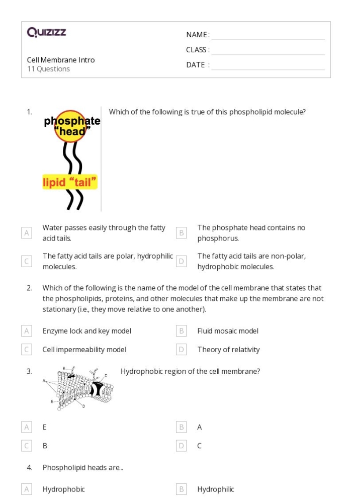 Seventh grade life science worksheet focusing on cell wall and cell membrane structural functions 22