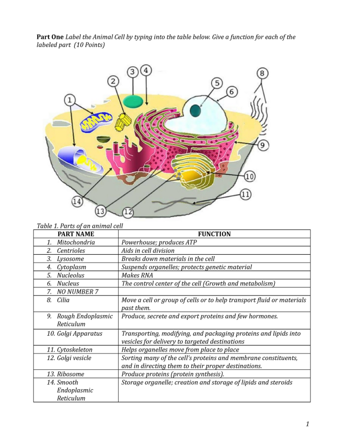 Fourth grade science worksheet explaining the basic components and structure of a biological cell