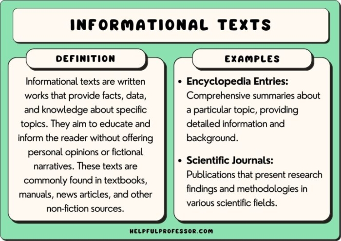 Sixth grade graphic organizer worksheet for identifying central ideas and key details in informational texts