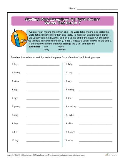 Second grade grammar worksheet showing exercises for converting singular nouns ending in y to plural forms using s or ies