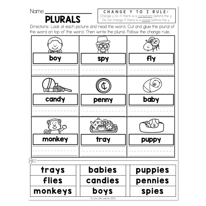 Second grade worksheet showing examples of changing singular nouns ending in y to plural form by adding ies