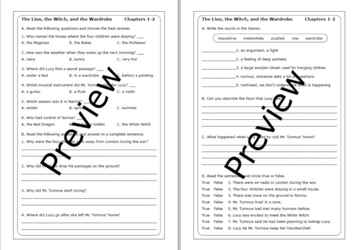 Sixth grade reading worksheet showing character analysis questions about The Lion the Witch and the Wardrobe with text excerpt for students to practice analyzing character traits and motivations