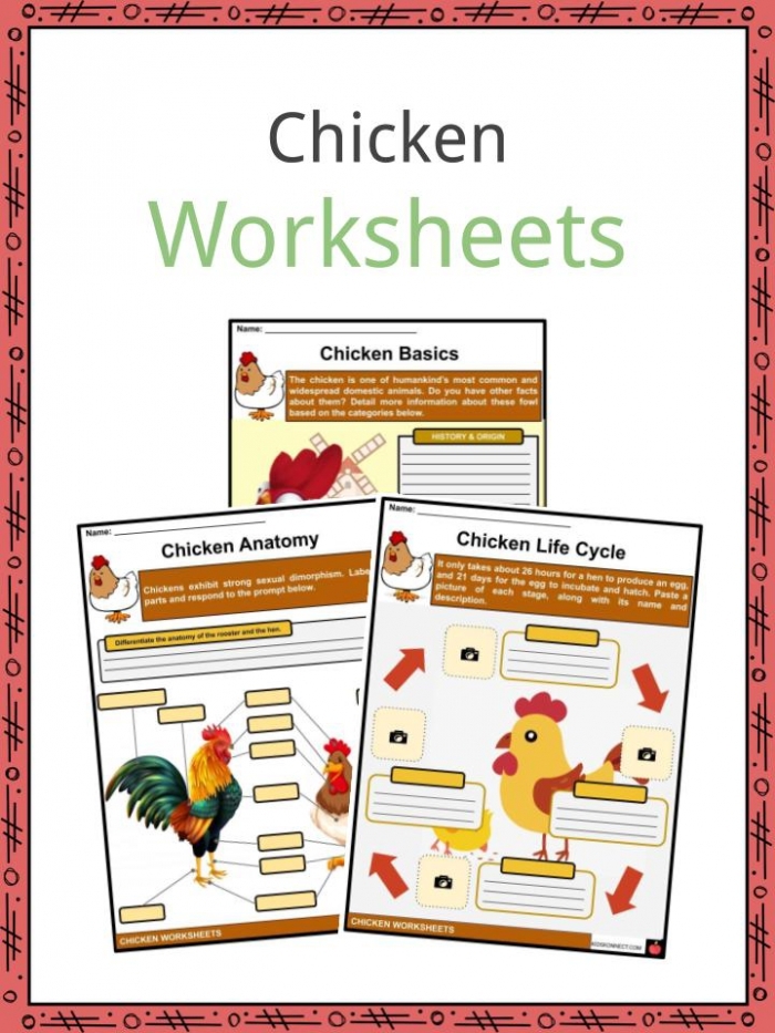 Cute chickens helping preschoolers learn addition on this engaging worksheet