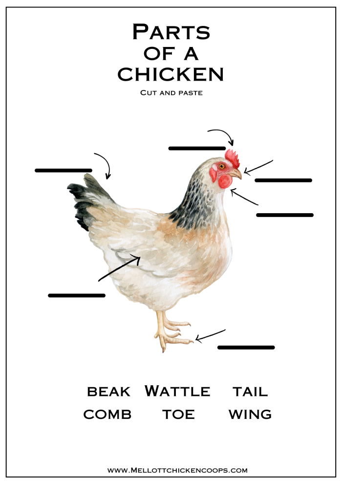 Cute chickens helping preschoolers learn addition with this engaging worksheet