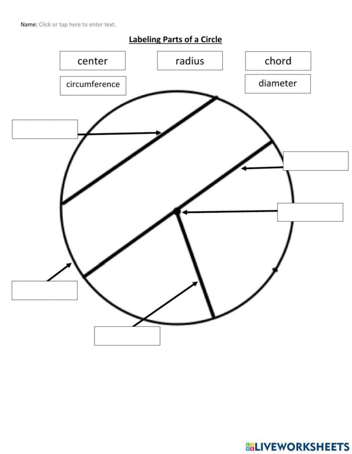 Worksheet featuring the Circle the Equal Parts activity for practicing fractions in second grade