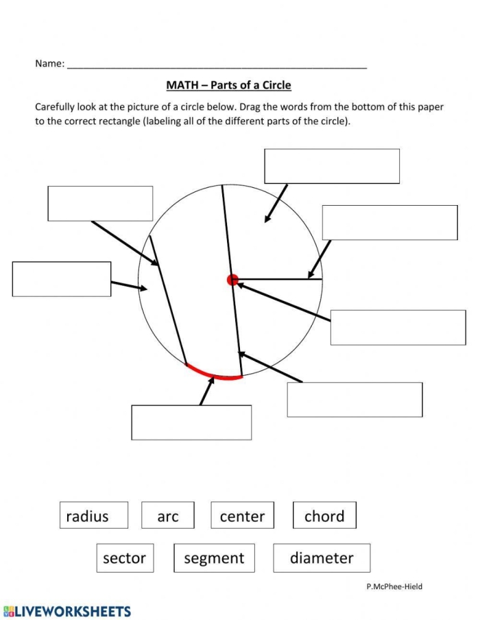 Worksheet featuring the Circle the Equal Parts activity for second graders to practice identifying halves, thirds, and fourths