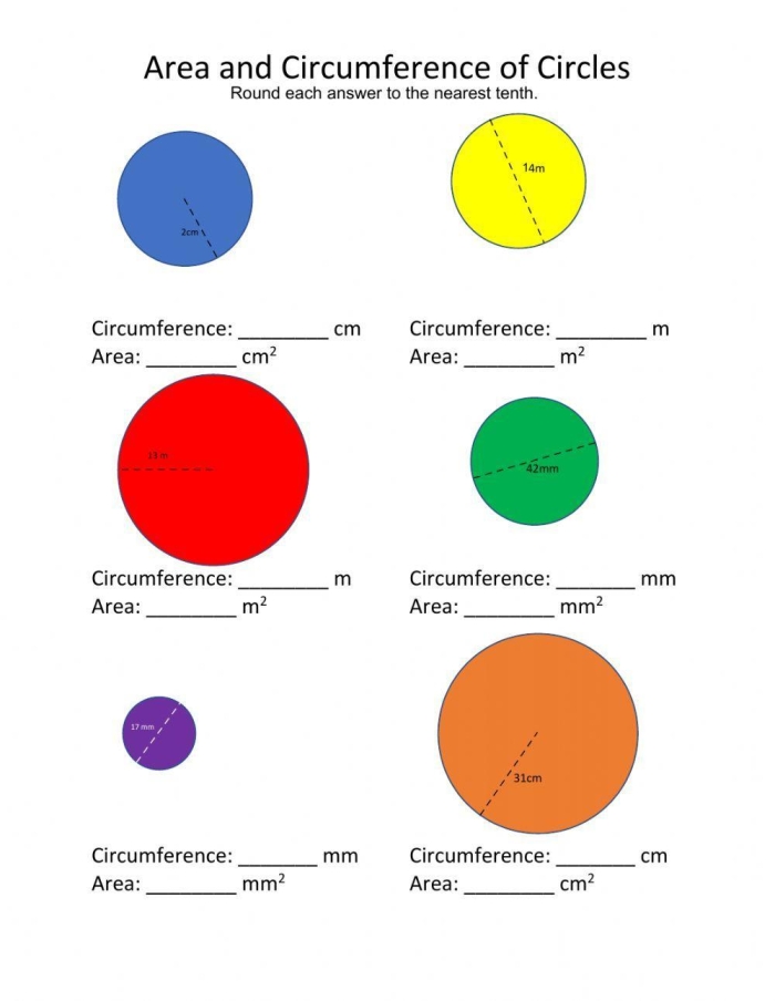 Fifth grade math worksheet featuring geometry problems about measuring the circumference and area of circular cookies