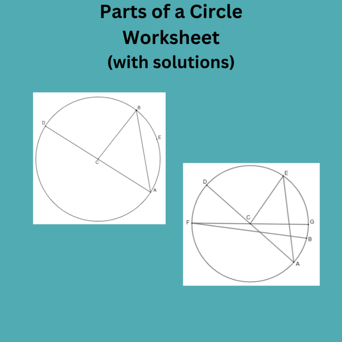 Worksheet for identifying equal parts, focusing on halves, thirds, and fourths for second graders