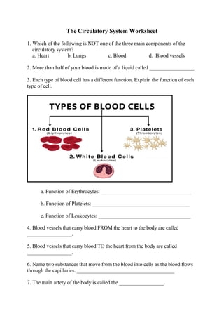 Fourth grade student completing a circulatory system blood worksheet