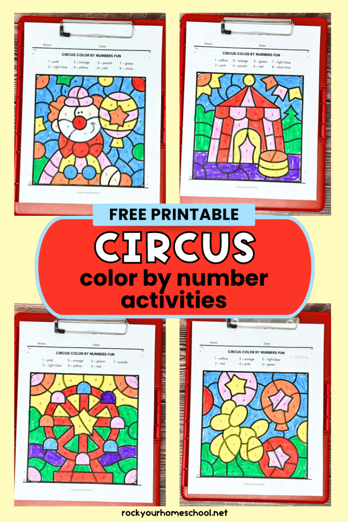 Third grade student completing a circus themed division color by number activity