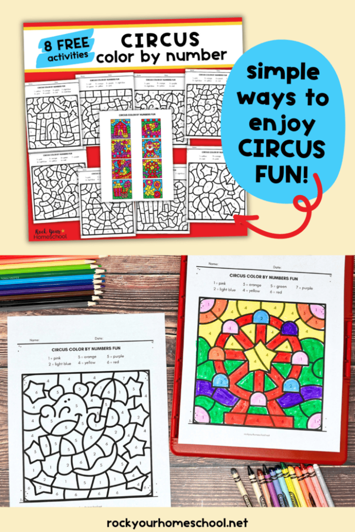 Third grade student completing a circus themed color by number division worksheet number 14