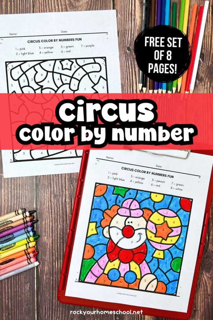 Third grade math student coloring a circus themed worksheet to practice division facts