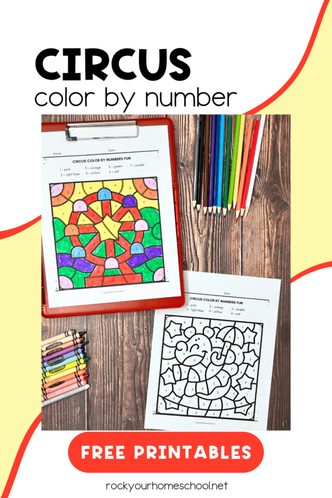 Circus Color By Number worksheet designed for third graders to enhance division skills and creativity