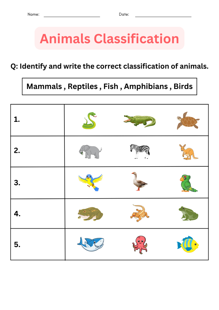 Classifying Animals worksheet for second grade science students featuring twenty-two matching tasks