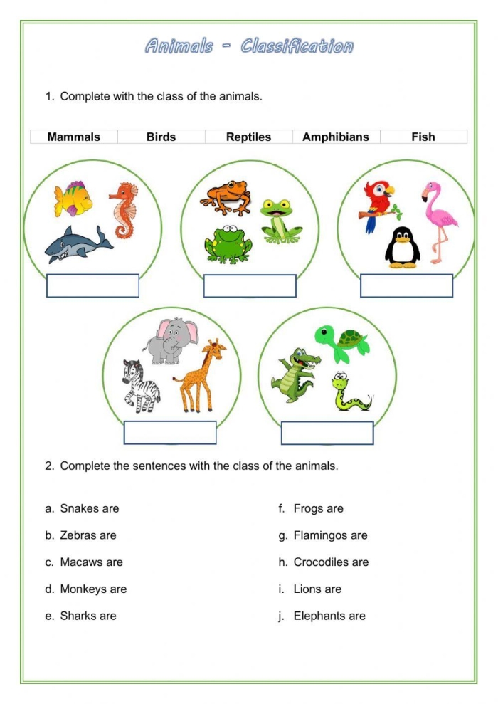 Second grade student worksheet for classifying different animal groups