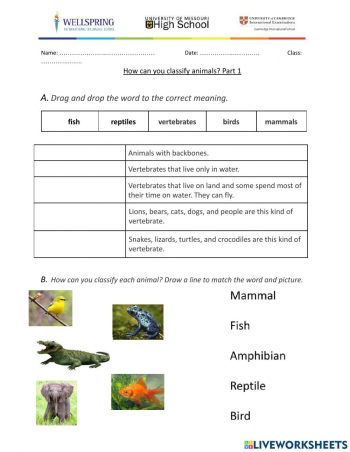 Classifying Animals worksheet for second graders focusing on life sciences