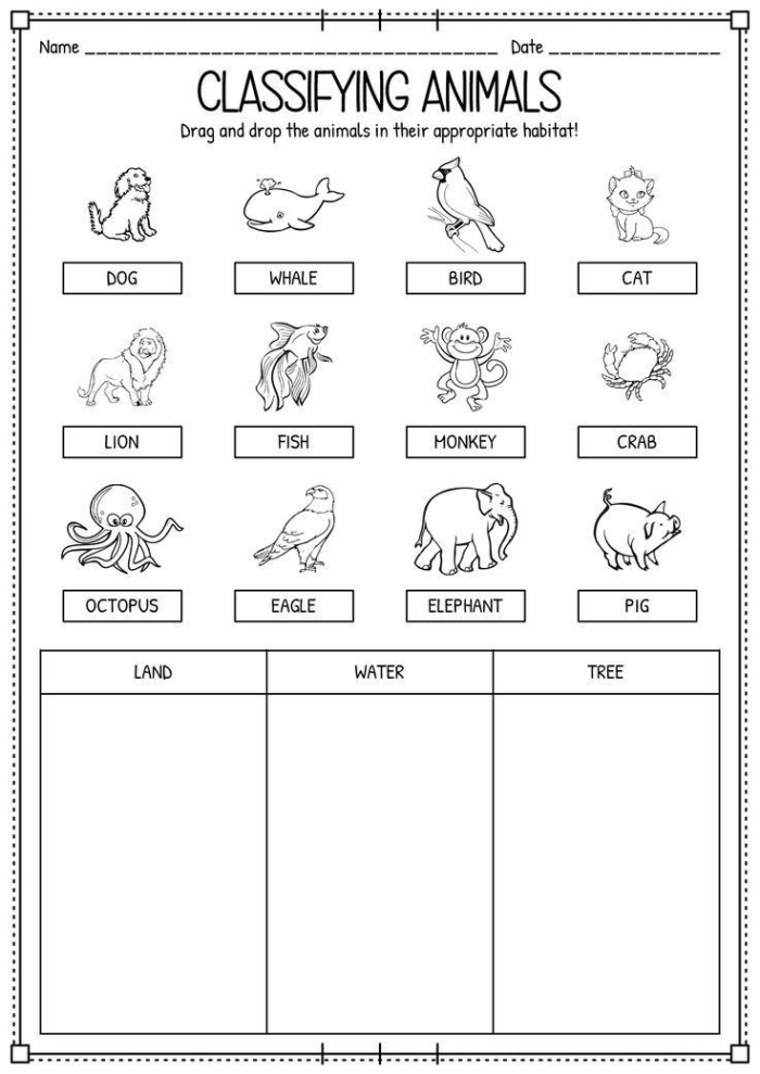 Worksheet illustrating animal classification for second graders' counting activities