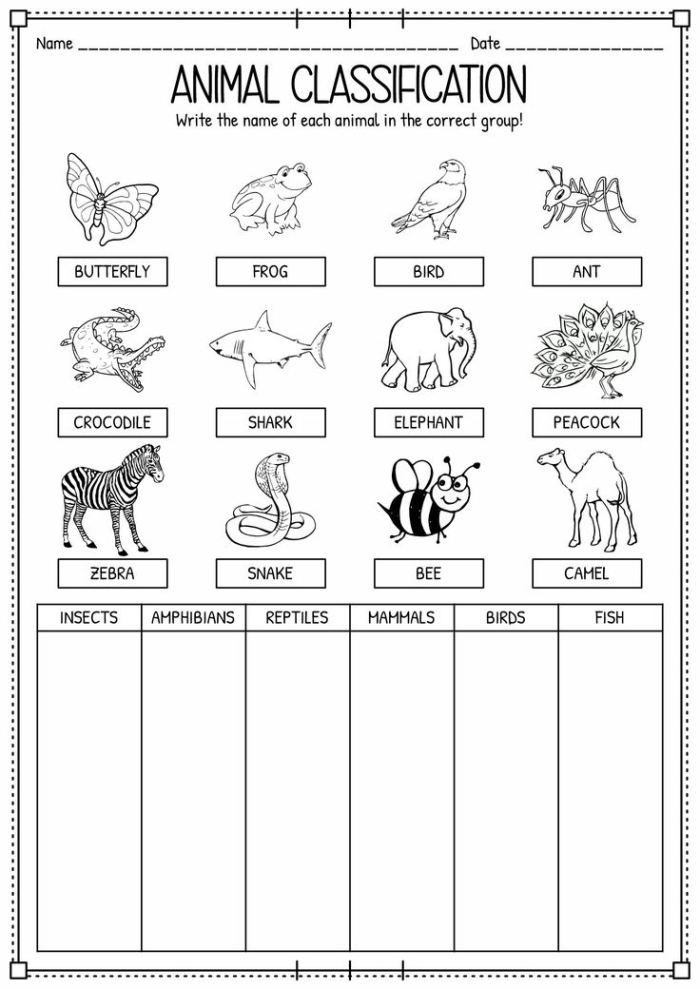 Second grade student sorting various animals by type in a life sciences matching exercise