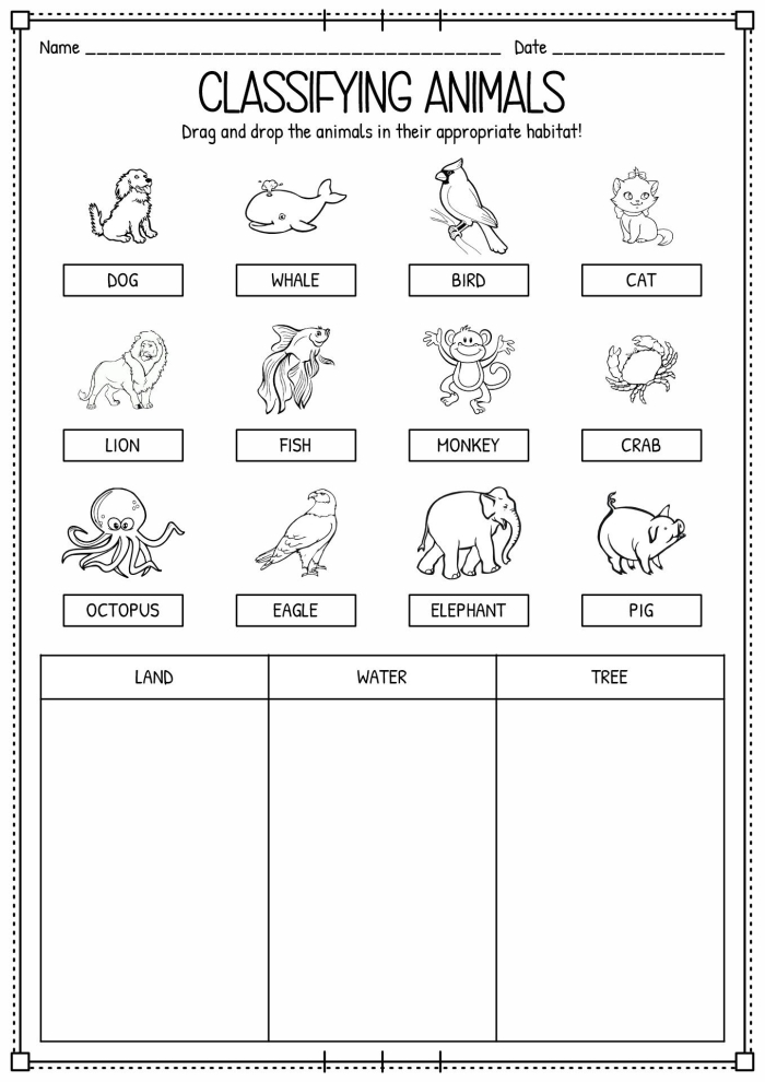 Worksheet for classifying animals with matching visuals for second graders