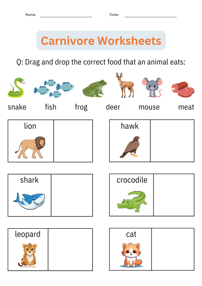 Second grade students learn to categorize various species in this life sciences worksheet 21