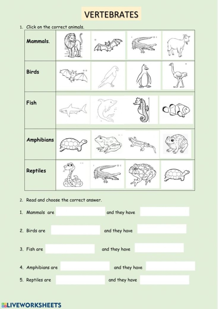Second grade students matching and classifying various animals in a life science worksheet