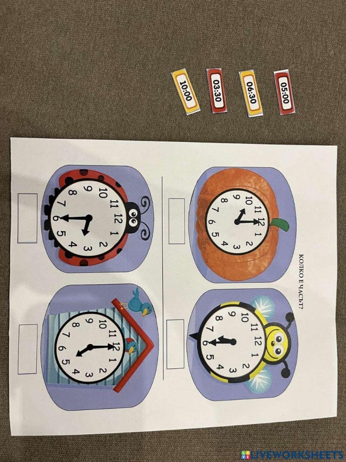 Life Science worksheet for First Grade Colorful Clock Concentration Game worksheet designed for first graders to practice telling time. Engaging activity for matching analog and digital clock faces while learning about time.