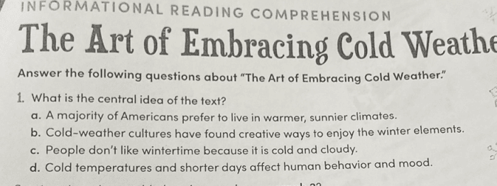 Sixth grade reading comprehension worksheet about global traditions for embracing cold winter weather