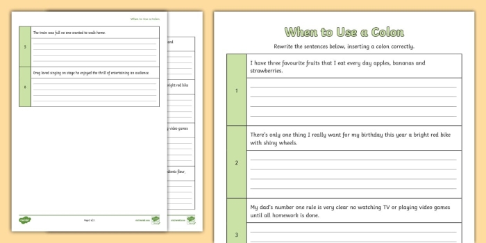 Colon Usage worksheet for seventh graders focusing on place value concepts