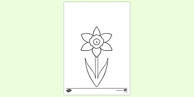 Algebra worksheet for First Grade Color a Daffodil worksheet for First Grade