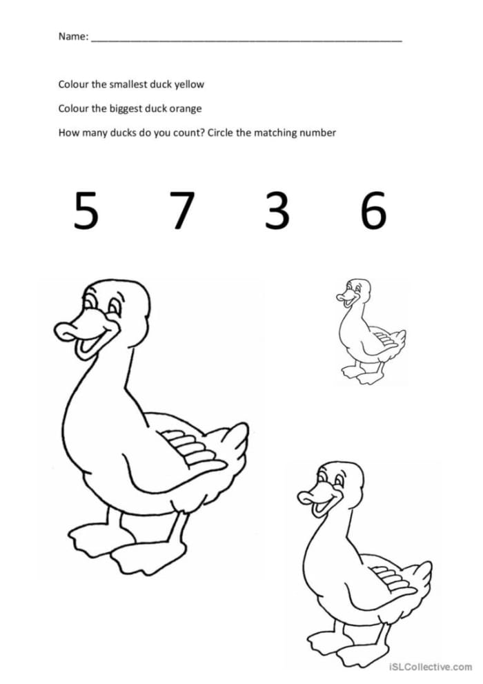 Pre-K color by number worksheet featuring two cute ducks swimming in a pond