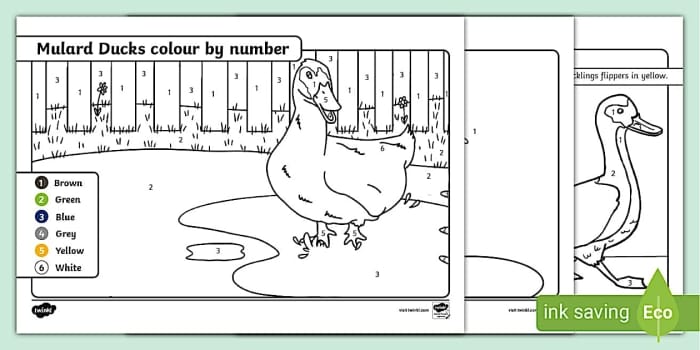 Pre-K color by number worksheet featuring two ducks swimming in a pond for number and counting practice