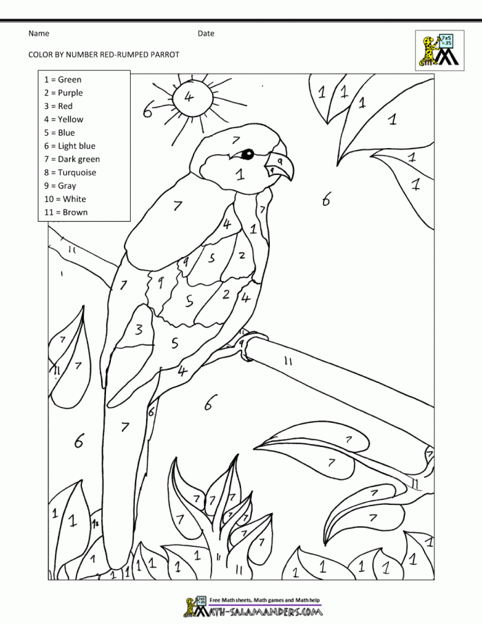 Color-By-Number Parrot Worksheet for First Grade Students Color-By-Number worksheet featuring a parrot for first graders to practice numbers and counting