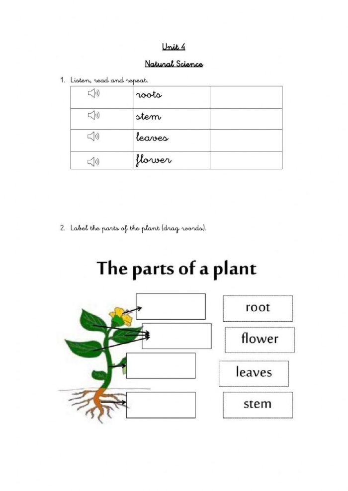 Kindergarten worksheet showing a garden scene with numbered sections for color by number activity 23