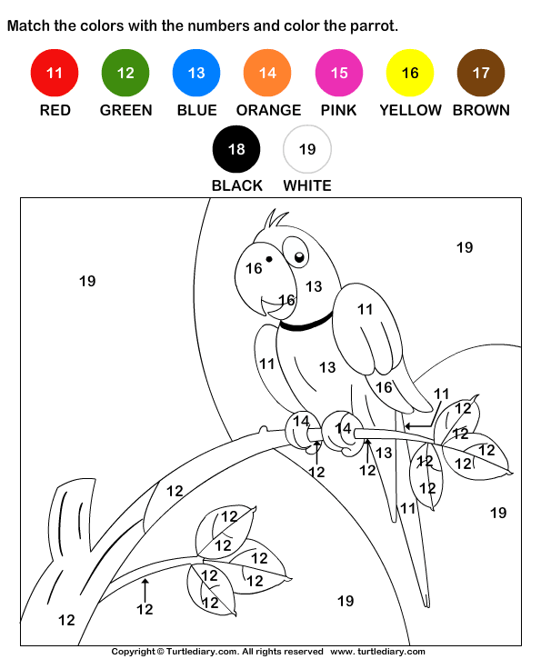 Colorful parrot coloring activity for young learners with number-guided spaces Color-By-Number worksheet featuring a parrot for first graders to practice numbers and counting