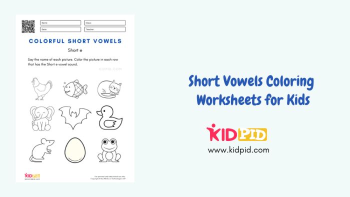 Color by Short Vowel Sound worksheet for First Grade